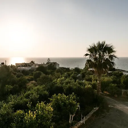 Creta Vitalis Hotel 3*