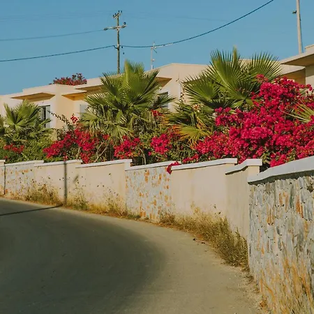 Creta Vitalis 3*