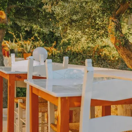 Creta Vitalis Hotel